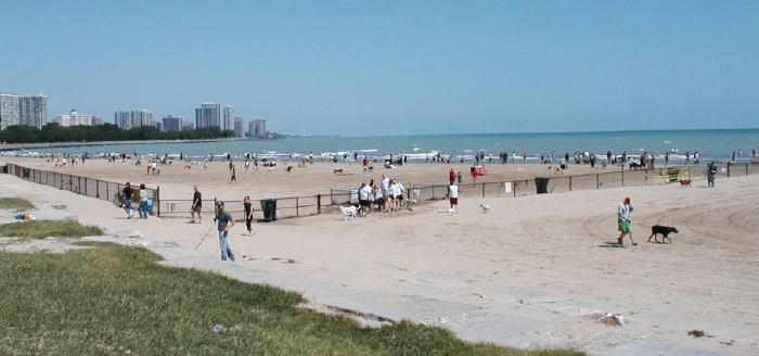 Montrose Dog Park business image in Chicago, Illinois